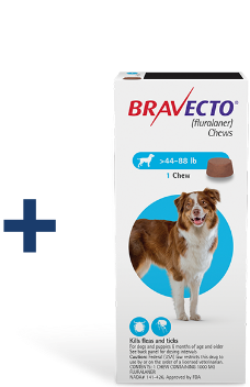 Bravecto chews packaging