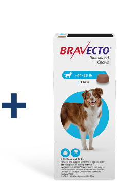 Bravecto chews packaging