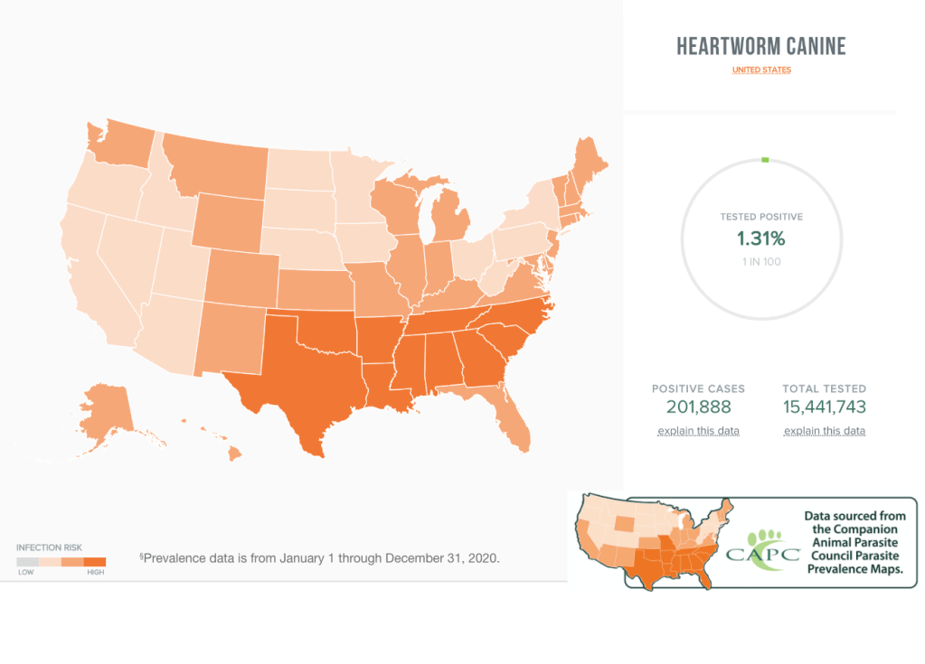 Orange heat map of the United States showing the number of heartworm cases