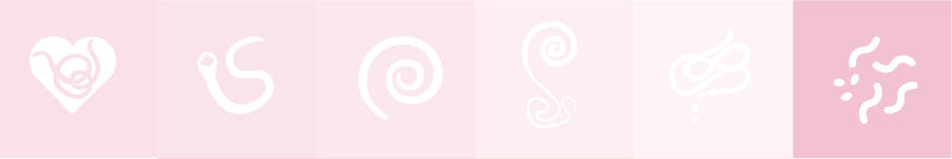 Pink fleas icon 
