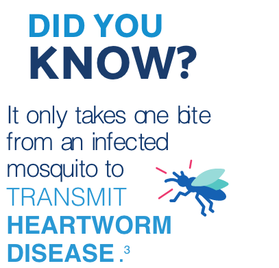 Heartworm Did You Know fact with mosquito icon

