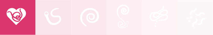 Pink heartworm icon