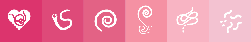 Pink parasite icons