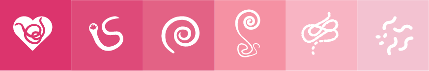 Pink parasite icons