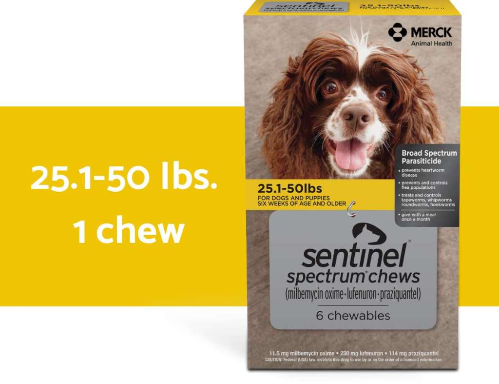 Sentinel spectrum chews yellow box for 25.1-50 lbs dogs horizontal description