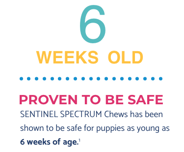 Age of youngest dogs allowed to take Sentinel spectrum chews with description

