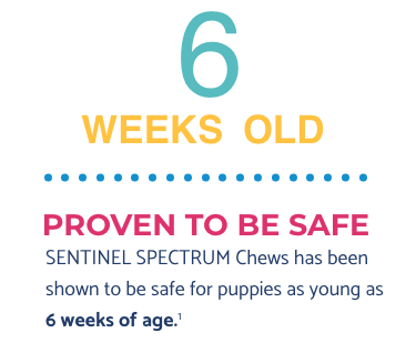 Age of youngest dogs allowed to take Sentinel spectrum chews with description
