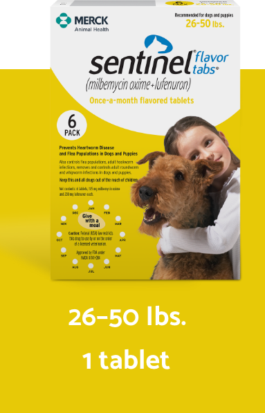 Sentinel flavor tabs yellow packaging for 26-50 lbs. dogs vertical description