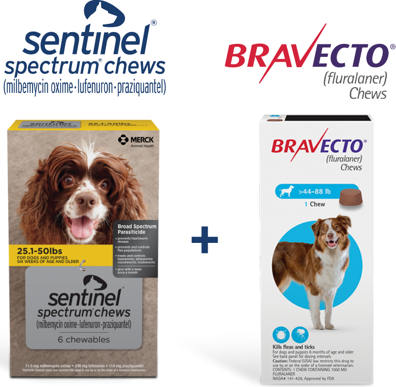 Sentinel spectrum chews and Bravecto chews logos and packaging 