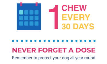 Calendar icon noting how often dogs show have a chew with description underneath

