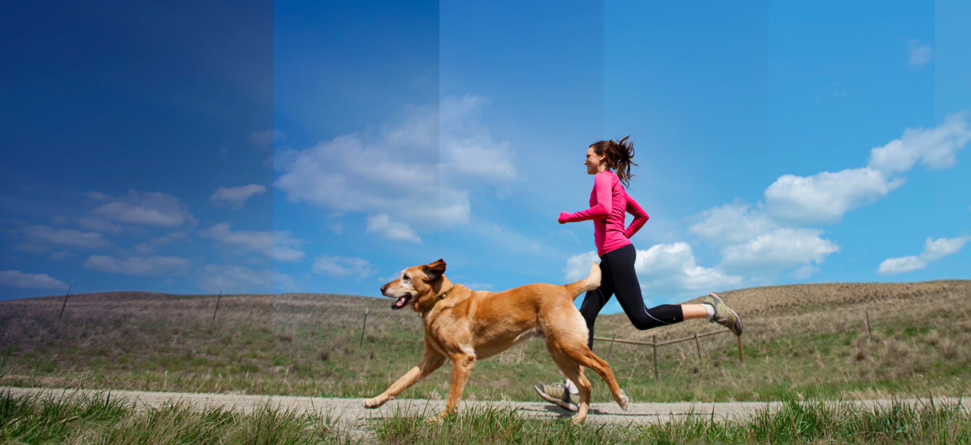 Woman and dog running on jogging path