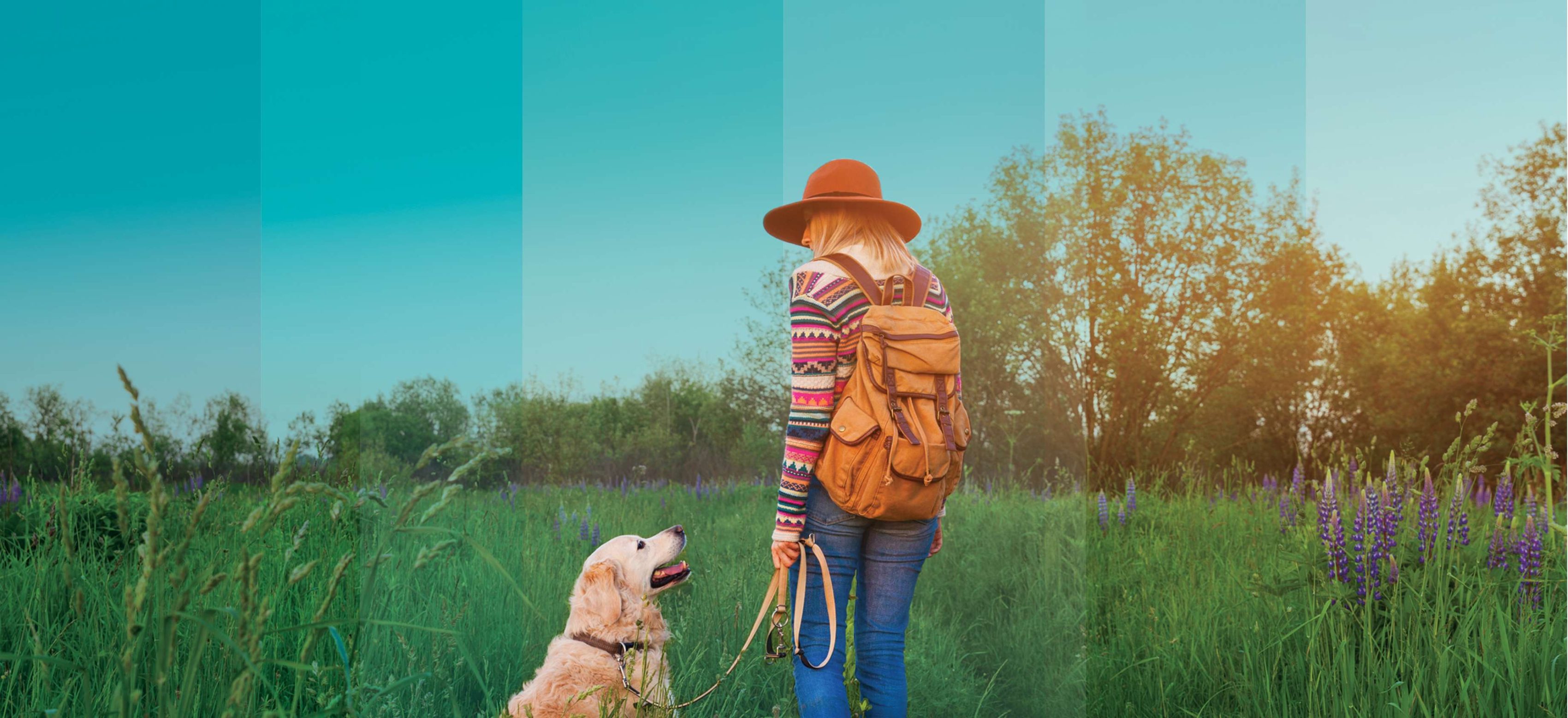 Woman in a backpack walking a dog in tall grass