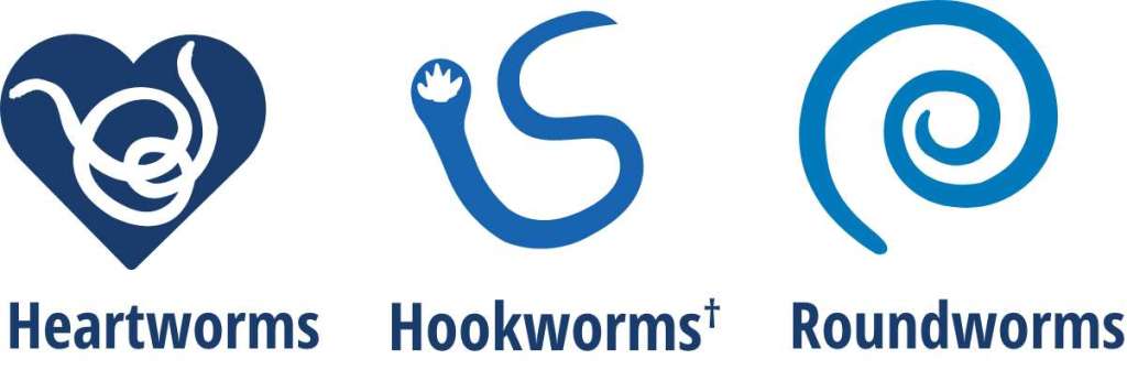 Heartworms, hookworms, roundworms icons