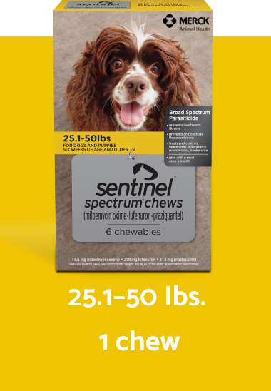 Sentinel spectrum chews yellow box for 25.1-50 lbs dogs vertical description
