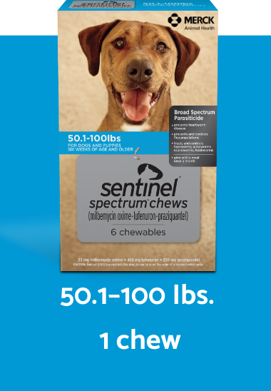Sentinel spectrum chews blue box for 50.1-100 lbs. dogs vertical description
