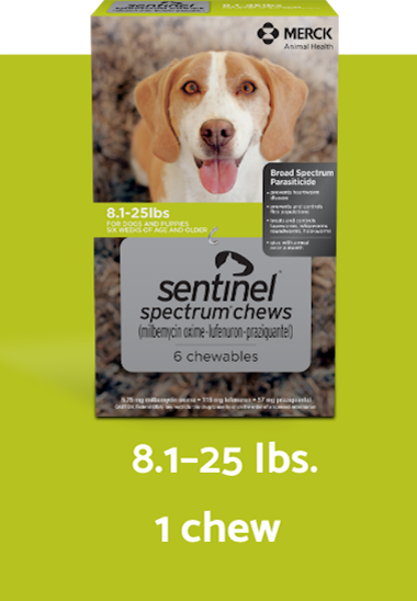 Sentinel spectrum chews green box for 8.1-25 lbs. dogs vertical description
