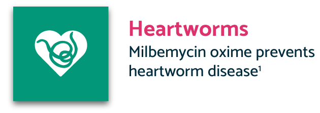 Teal Heartworms icon with description
