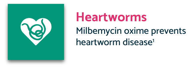 Teal Heartworms icon with description
