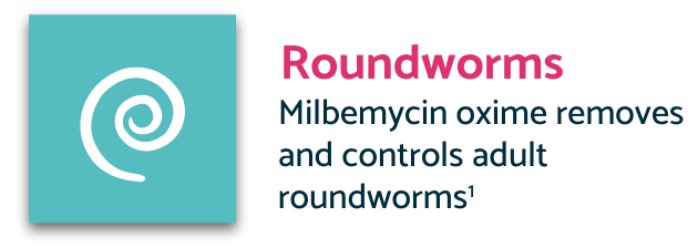 Turquoise roundworms icon with description