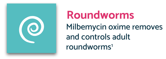 Turquoise roundworms icon with description