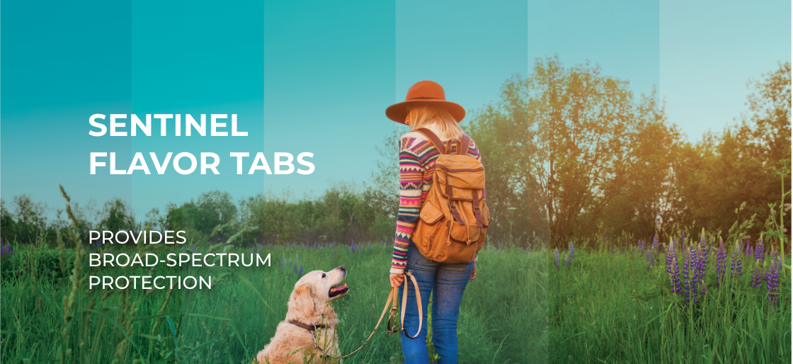 SENTINEL® FLAVOR TABS® for Heartworms & Other Parasites